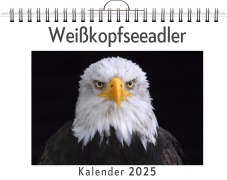 Cover-Bild zum Titel 'Weißkopfseeadler' von 'Emilia Peters'