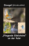 Cover-Bild zum Titel 'Eisvogel (Alcedo atthis)' von 'Fotolulu'