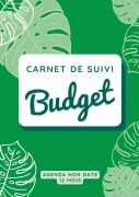 Cover-Bild zum Titel 'Carnet de suivi budget' von 'Virginie Pellegrini'