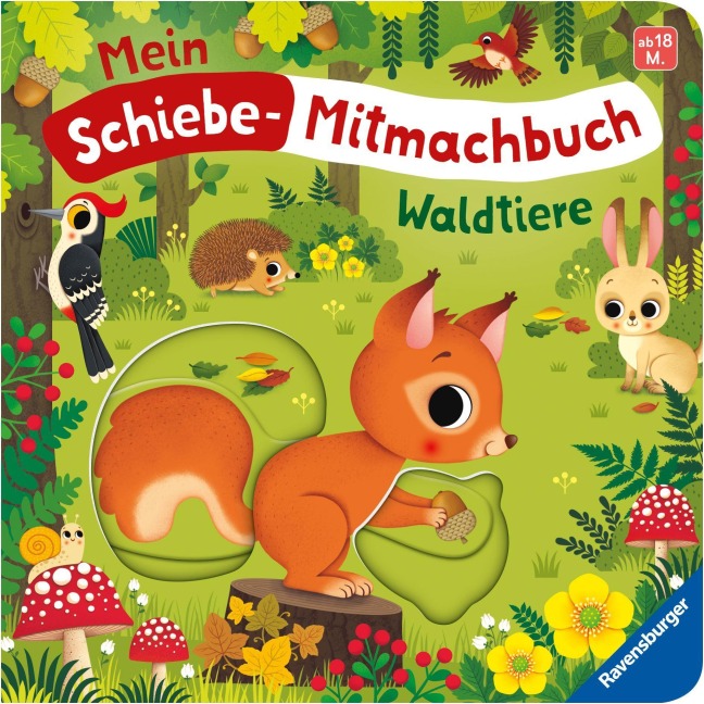Mein Schiebe-Mitmachbuch - Waldtiere - Bernd Penners