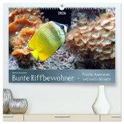Bunte Riffbewohner - Fische, Anemonen und noch viel mehr (hochwertiger Premium Wandkalender 2026 DIN A2 quer), Kunstdruck in Hochglanz - Bianca Schumann