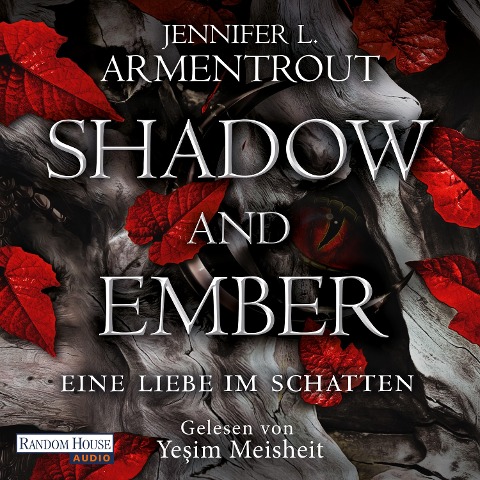 Shadow and Ember ¿ Eine Liebe im Schatten - Jennifer L. Armentrout