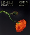 Cover-Bild zum Titel 'Fragile Beauty' von ''