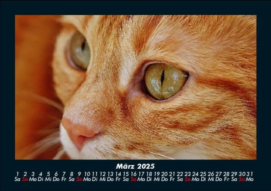 InsideView 7