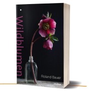 Wildblumen - 