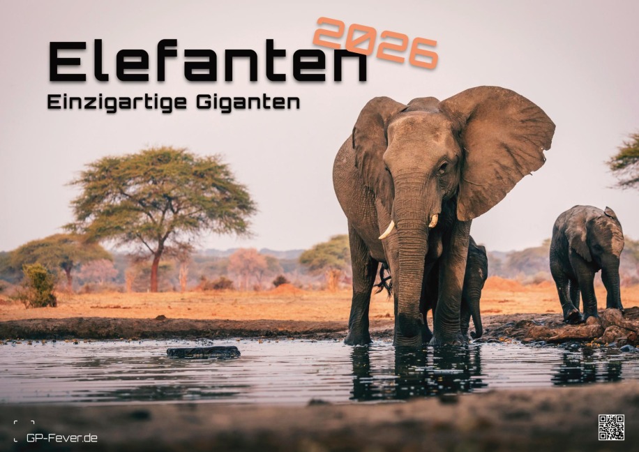 Elefanten - einzigartige Giganten - 2026 - Kalender DIN A2 - 
