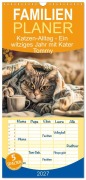 Cover-Bild zum Titel 'Familienplaner 2027 - Katzen-Alltag - Ein witziges Jahr mit Kater Tommy mit 5 Spalten (Wandkalender, 21 x 45 cm) CALVENDO' von 'Anja Frost'