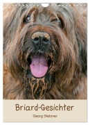 Cover-Bild zum Titel 'Briard-Gesichter (Wandkalender 2026 DIN A4 hoch), CALVENDO Monatskalender' von 'Georg Stelzner'