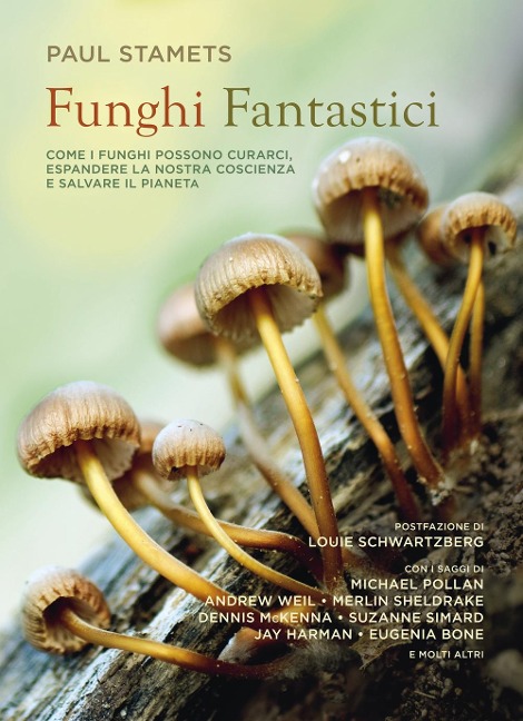 Funghi fantastici - 