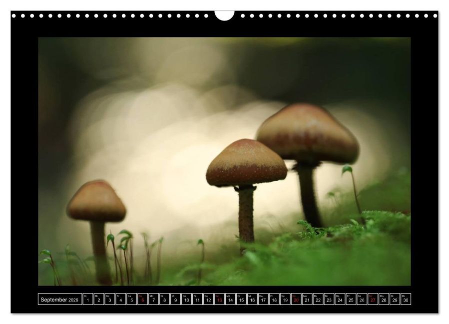 InsideView 14