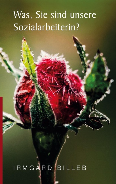 Was, Sie sind unsere Sozialarbeiterin? - Irmgard Billeb