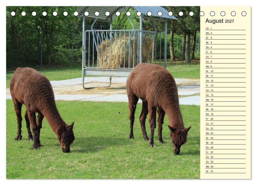InsideView 13