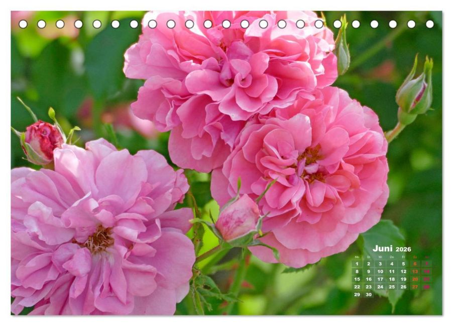 InsideView 11