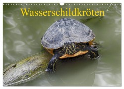 Wasserschildkröten (Wandkalender 2026 DIN A3 quer), CALVENDO Monatskalender - Klaudia Kretschmann