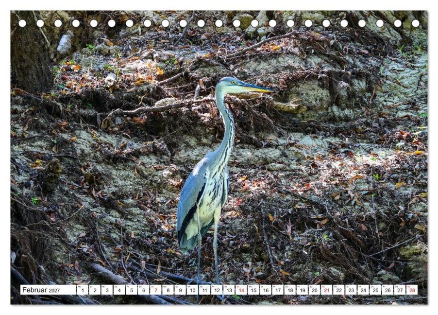 InsideView 7