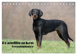 Cover-Bild zum Titel 'Der Brandlbracken-Terminplaner (Tischkalender 2026 DIN A5 quer), CALVENDO Monatskalender' von 'Antje Lindert-Rottke'