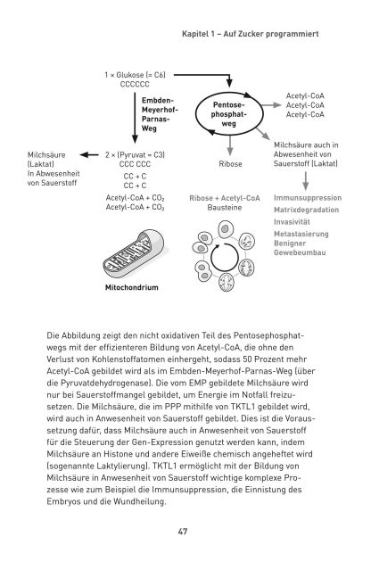 InsideView 48