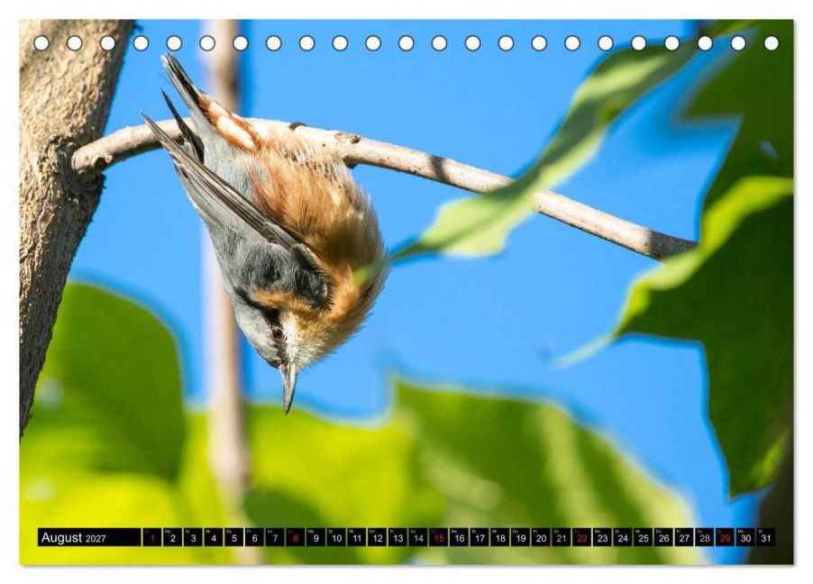 InsideView 13