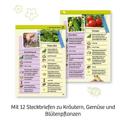 InsideView 5