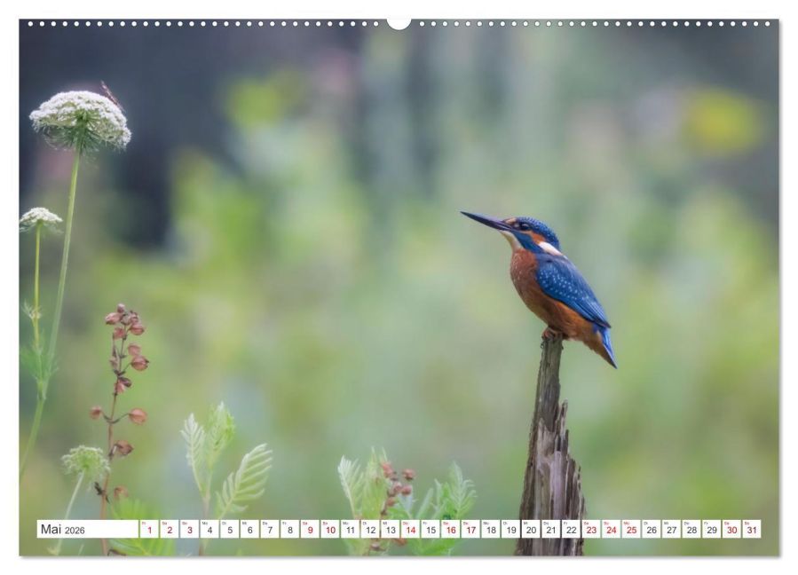 InsideView 10