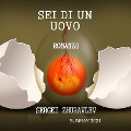 Cover-Bild zum Titel 'SEI DI UN UOVO' von 'Sergei'