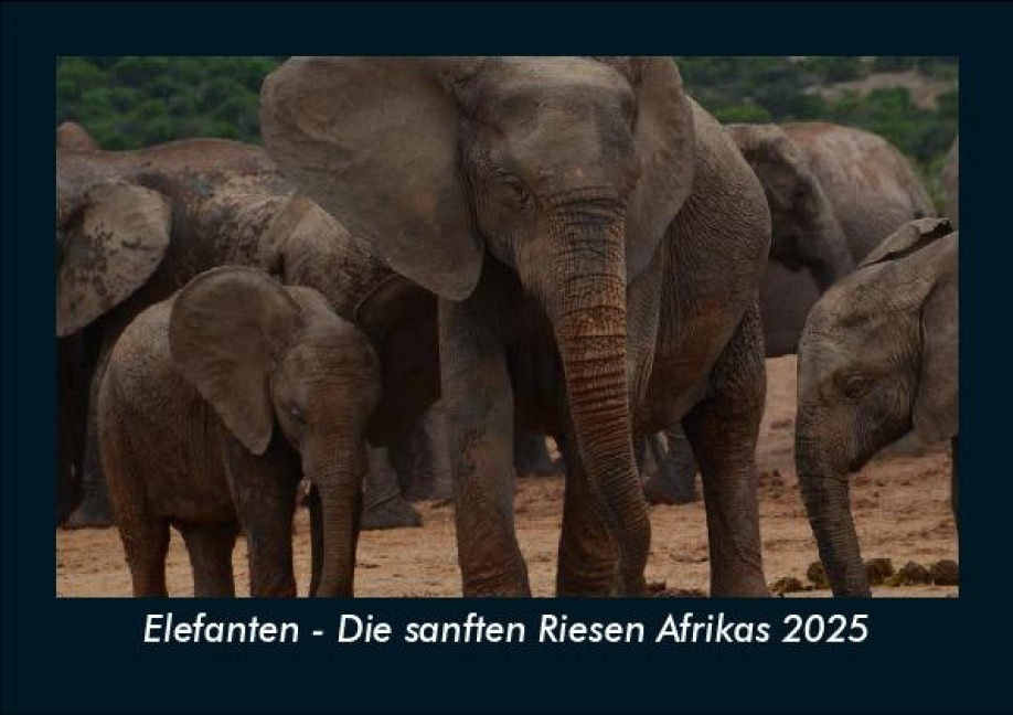 Elefanten - Die sanften Riesen Afrikas 2025 Fotokalender DIN A5 - Tobias Becker