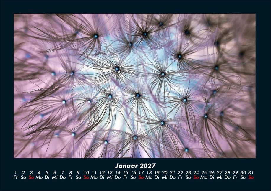 InsideView 5