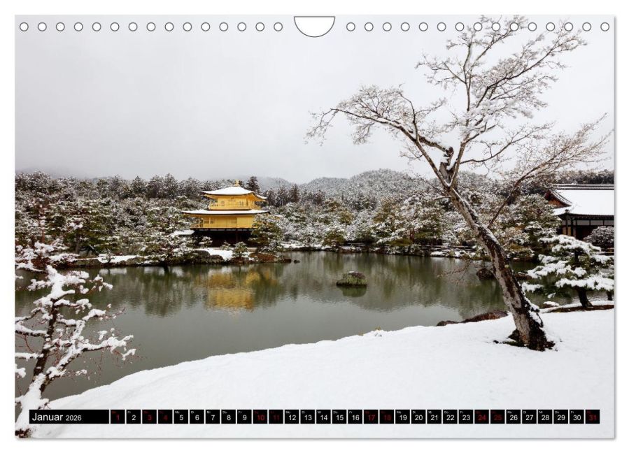 InsideView 6