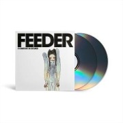 Cover-Bild zum Titel 'Comfort in Sound (2025 Remaster,Espanded)' von 'Feeder'