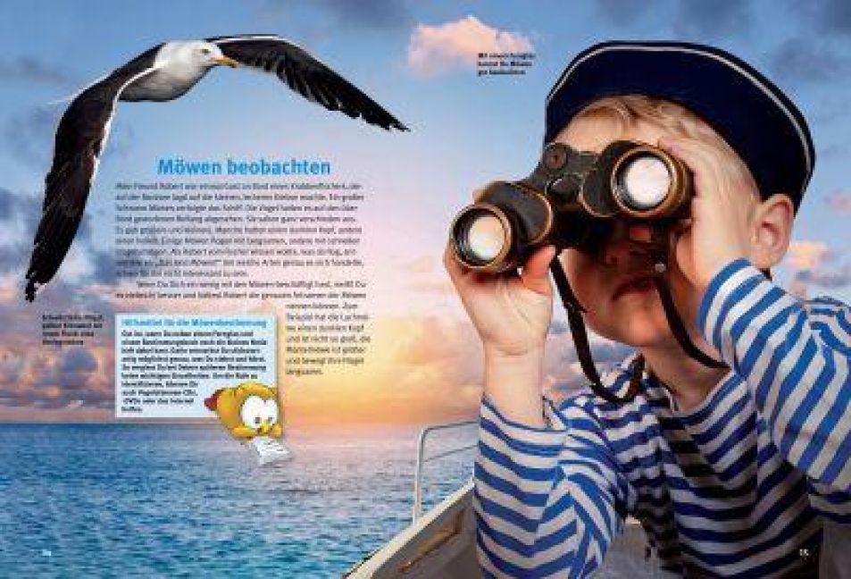 InsideView 2