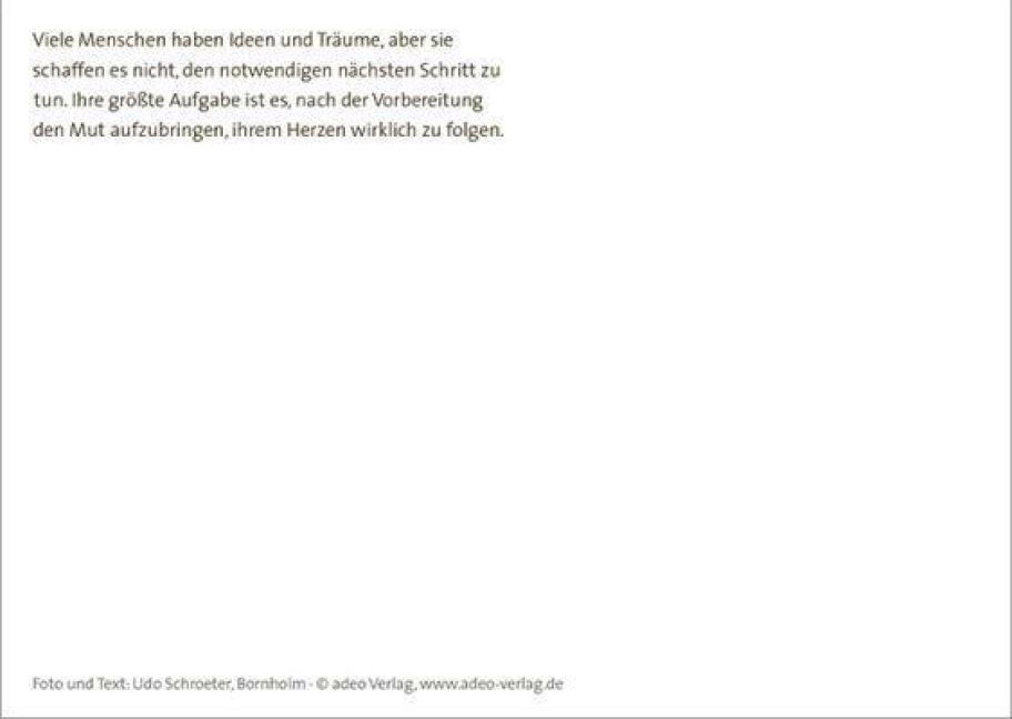 InsideView 4