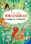 Cover-Bild zum Titel 'Mein großes Vorschulbuch: Buchstaben Zahlen Konzentration' von 'Kirstin Jebautzke'