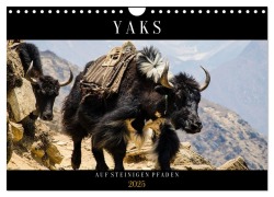 Yaks - auf steinigen Pfaden (Wandkalender 2025 DIN A4 quer), CALVENDO Monatskalender - Renate Utz