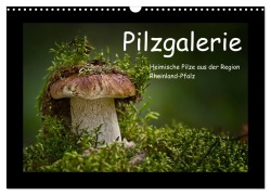 Cover-Bild zum Titel 'Pilzgalerie - Heimische Pilze aus der Region Rheinland-Pfalz (Wandkalender 2026 DIN A3 quer), CALVENDO Monatskalender' von 'Beate Wurster'