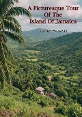 Picturesque Tour Of The Island Of Jamaica - James Hakewill