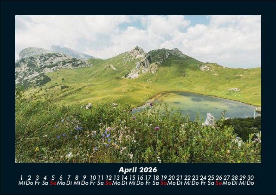 InsideView 8