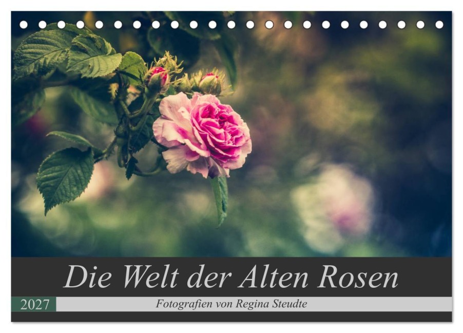 Die Welt der Alten Rosen (Tischkalender 2027 DIN A5 quer), CALVENDO Monatskalender - Regina Steudte