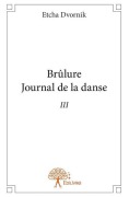 Cover-Bild zum Titel 'Journal de la danse - Tome 3' von 'Etcha Dvornik'