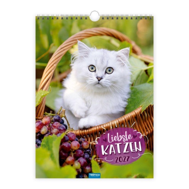 TRÖTSCH - Classickalender Liebste Katzen 2027 - 
