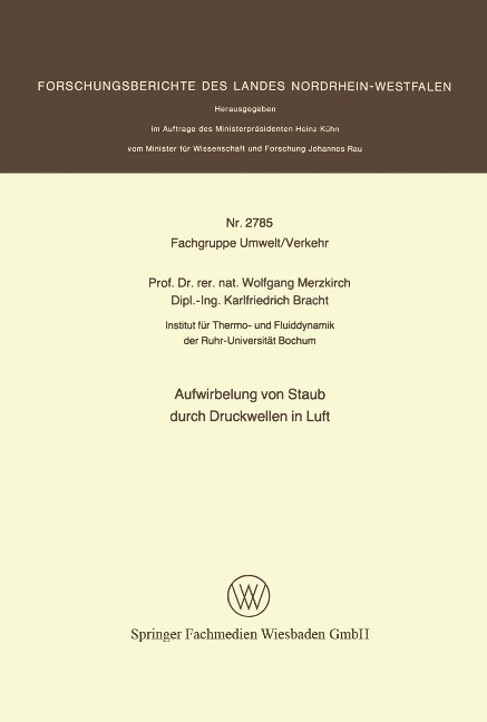 Aufwirbelung von Staub durch Druckwellen in Luft - Wolfgang Merzkirch