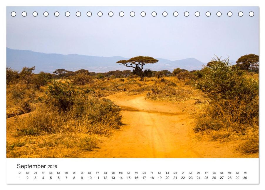 InsideView 14