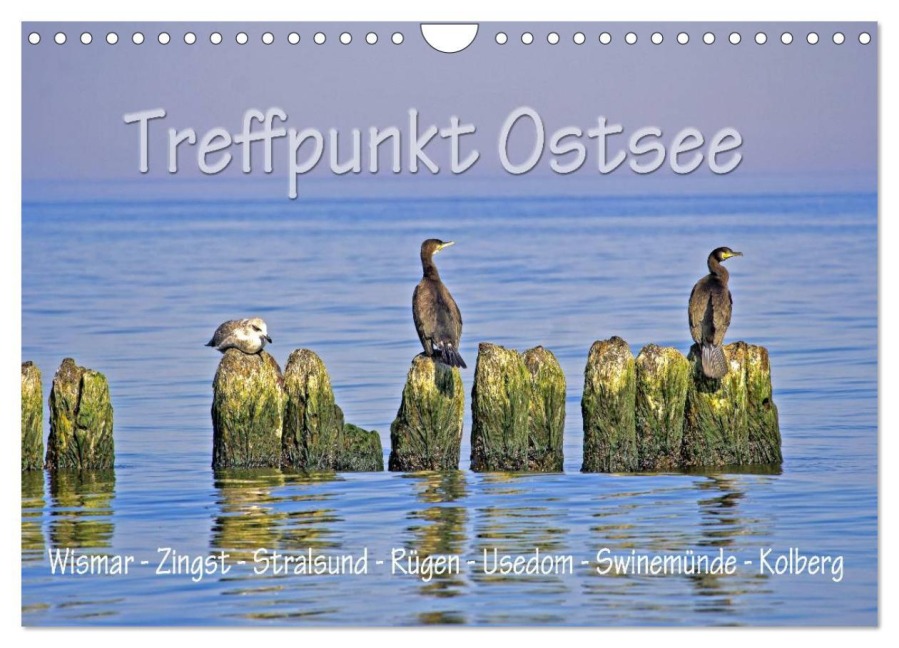 Treffpunkt Ostsee (Wandkalender 2026 DIN A4 quer), CALVENDO Monatskalender - Paul Michalzik