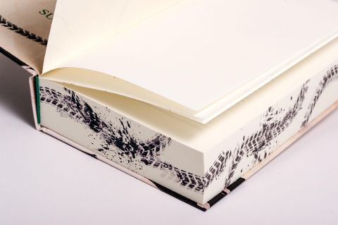 InsideView 13