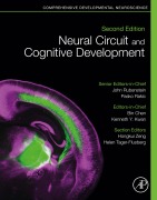 Cover-Bild zum Titel 'Neural Circuit and Cognitive Development' von ''