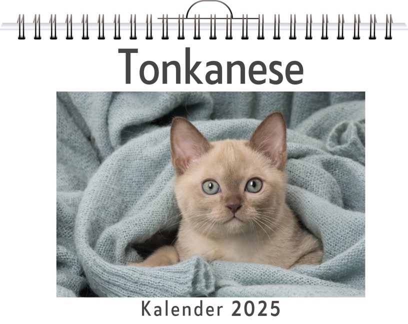 Tonkanese - David Peters