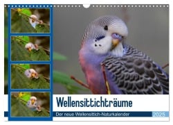 Wellensittichträume - Der neue Wellensittich-Naturkalender (Wandkalender 2025 DIN A3 quer), CALVENDO Monatskalender - Björn Bergmann