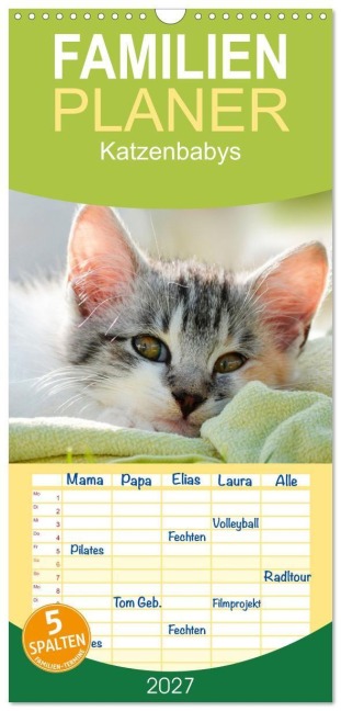 Familienplaner 2027 - Katzenbabys mit 5 Spalten (Wandkalender, 21 x 45 cm) CALVENDO - 
