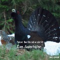 Cover-Bild zum Titel 'Das Auerhuhn' von 'Peter Berthold, Klaus Sander'