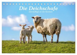 Cover-Bild zum Titel 'Die Deichschafe. Deichpflege an der Nordsee (Tischkalender 2027 DIN A5 quer), CALVENDO Monatskalender' von 'Andrea Dreegmeyer'