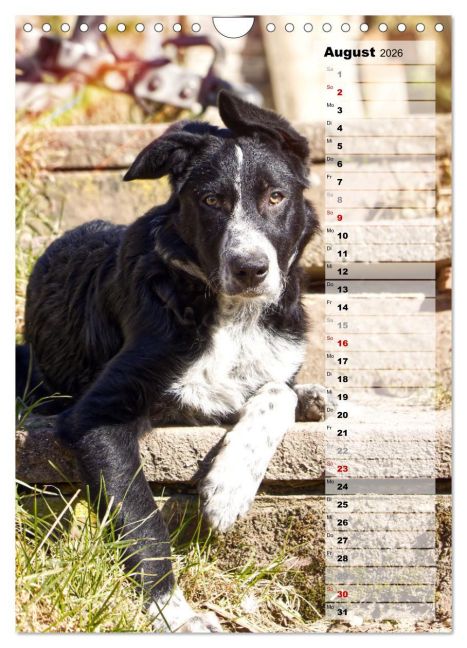 InsideView 13